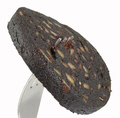 black pudding
