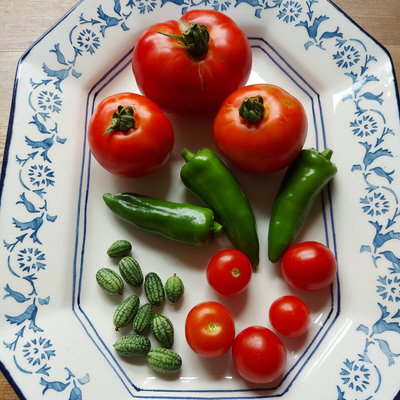 summer veg summer veg